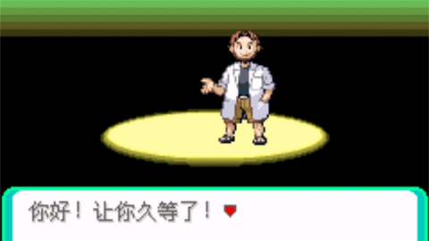 口袋妖怪：日月宝石八木特别篇图1