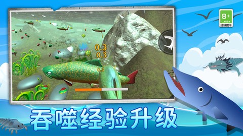 鲨鱼进化记[图1]