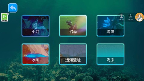 鲨鱼进化记[图3]