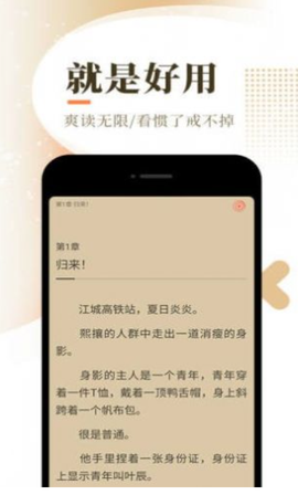 西红柿小说网图2