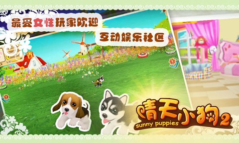 晴天小狗2图1