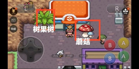口袋妖怪：赭色[图1]