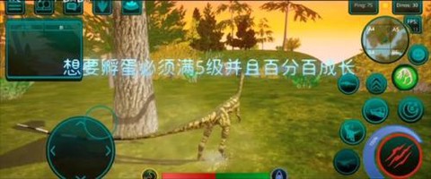 诅咒之岛安卓版[图1]