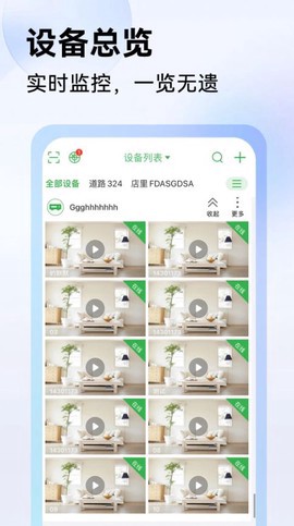 seetong图1