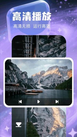 森林视频图1