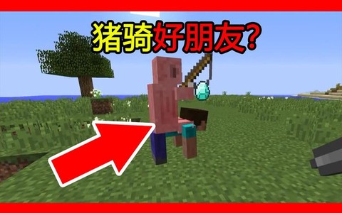 我的世界怎么骑猪飞