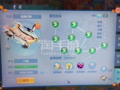 神武盘丝孩子怎么加点