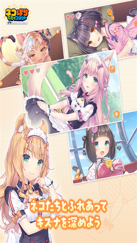 ネココネ安装器图3