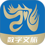 趣放飞