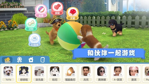 梦幻小狗图3