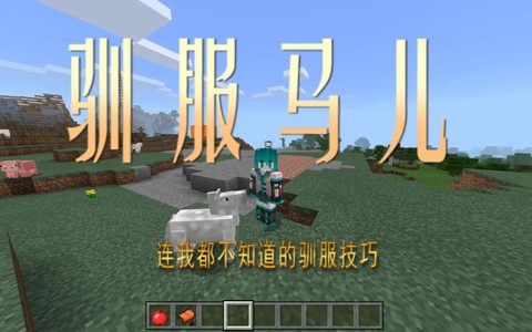 我的世界手机版马怎么驯服[图1]
