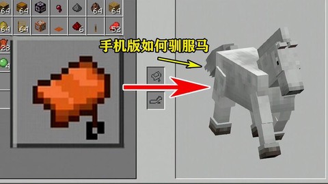 我的世界手机版马怎么驯服[图2]