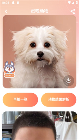 灵魂宠物[图3]