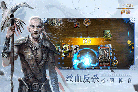 上古卷轴：传奇图3