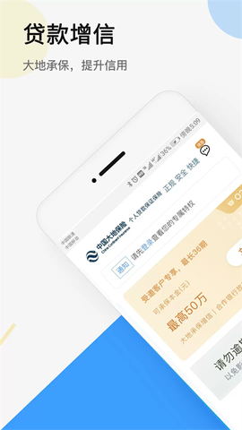 大地时贷险图1