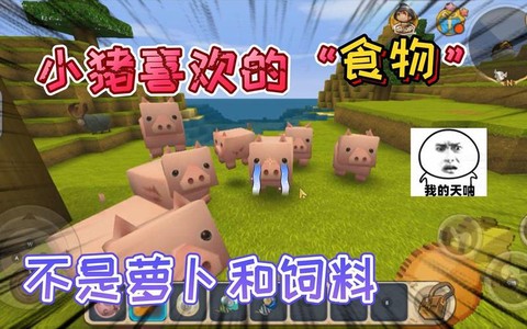 迷你世界猪吃什么食物[图1]