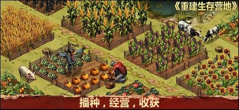 重建生存营地[图1]