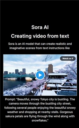 sora2安卓手机[图3]