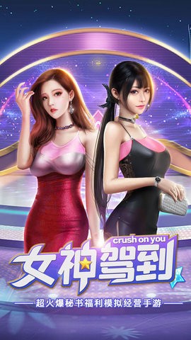 女神驾到图3