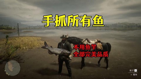 荒野大镖客怎么升级鱼竿
