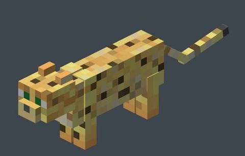 我的世界怎么找豹猫[图2]