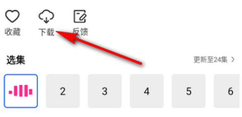 森林视频[图4]