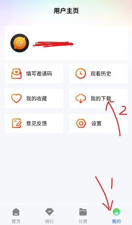 森林视频[图6]