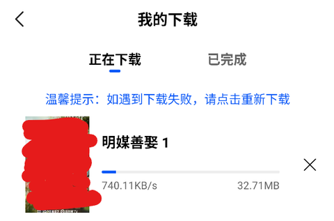 森林视频[图7]