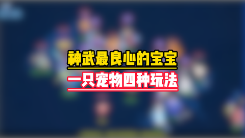 神武卡90带什么宝宝