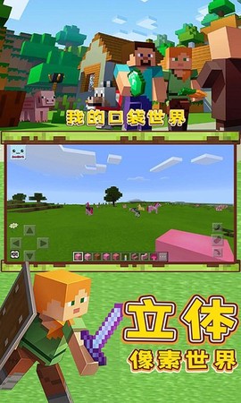 我的口袋世界图2