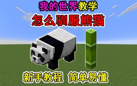 我的世界怎么抓动物[图1]