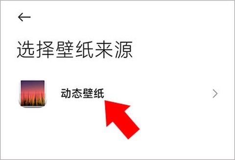 黑鲨鲨鲨酱[图5]