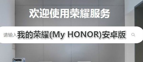 我的荣耀[图1]