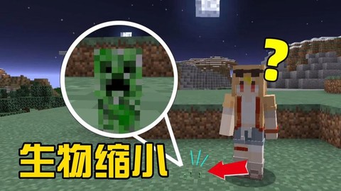 我的世界人物怎么变小[图1]