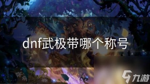 dnf武极带什么称号