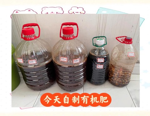 明日之后怎么做肥料