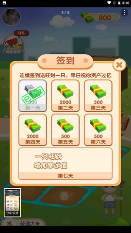 爱上看大米图2