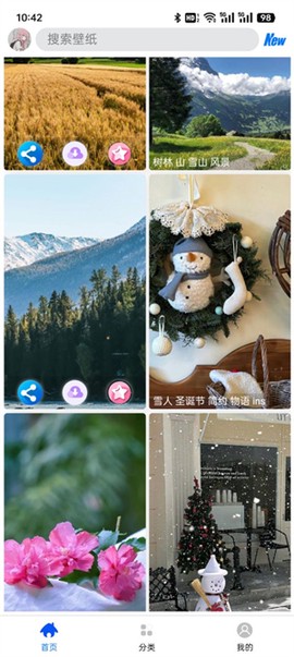 波奇壁纸[图2]