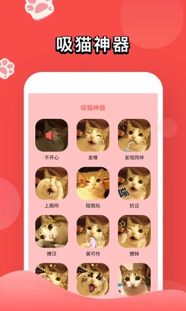 人猫交流器官方版图3