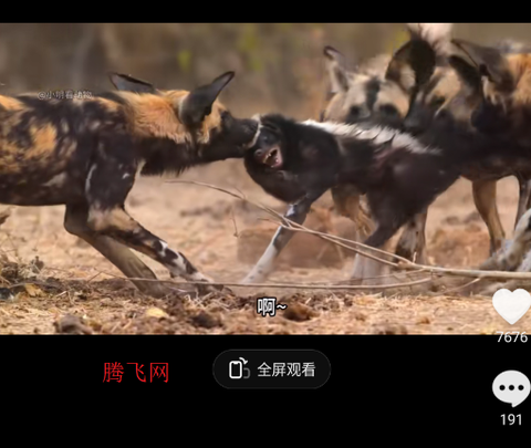 抖音精选[图4]