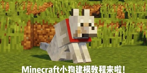 我的世界怎么让狗跟着[图1]