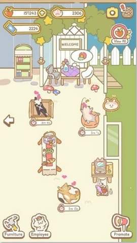 猫咪温泉图2