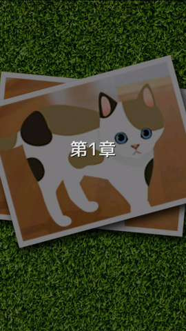 可爱猫咪满满[图1]