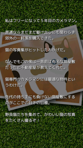 可爱猫咪满满[图2]