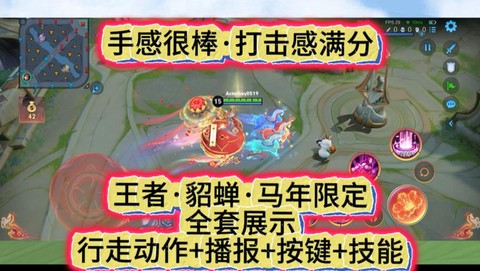 王者荣耀貂蝉带什么技能[图1]