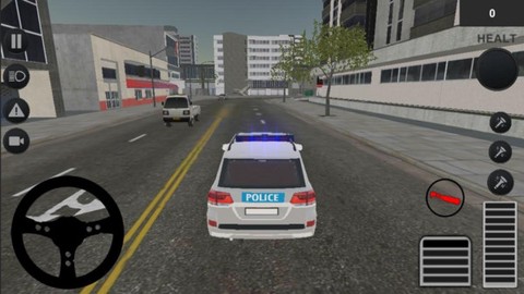 警察驾驶培训模拟器截图2