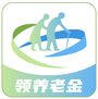 慧养老