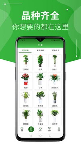 绿植到家[图1]