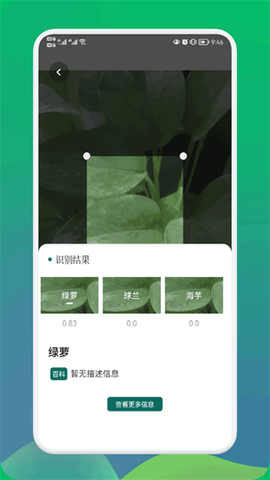 小园丁截图3