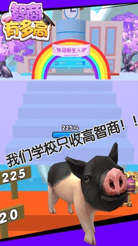智商有多高[图1]